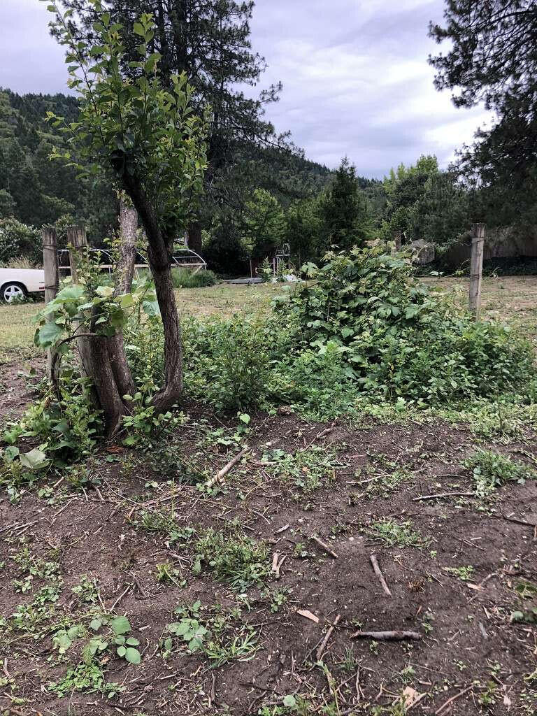 161 West Evans Creek Road Rogue River, OR 97537 - Photo 20 of 28 Era.21