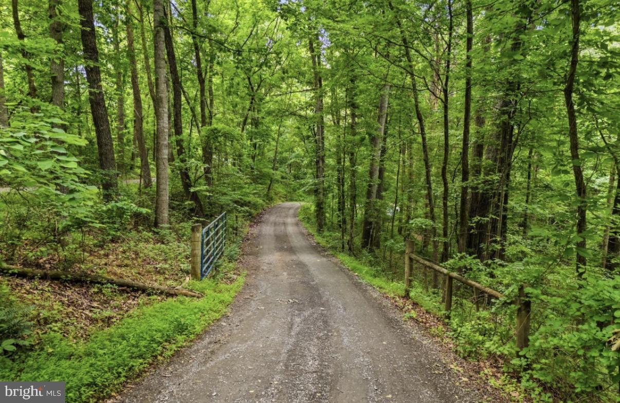 8487 Botha Road Warrenton, VA 20186 - Photo 4 of 68 10.43 ACRES, FENCED