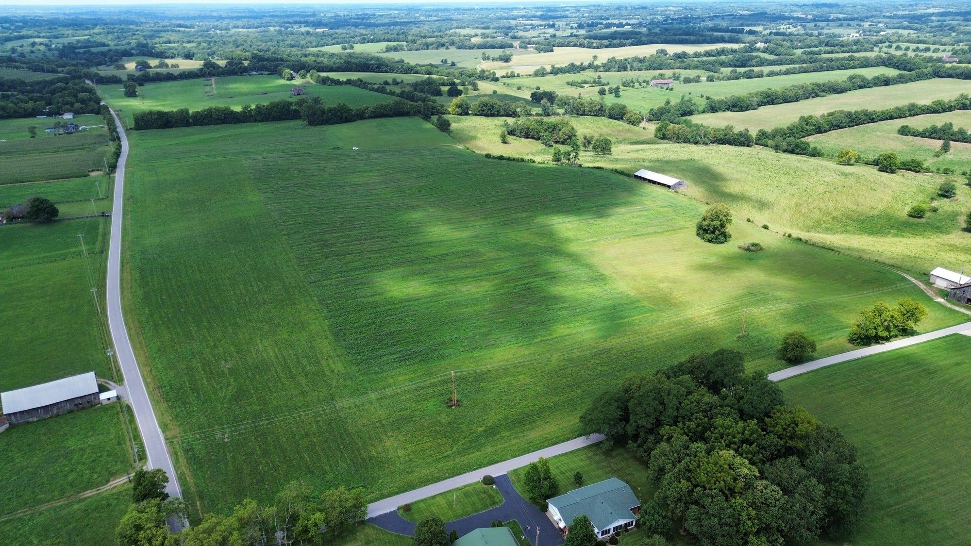 969 Walnut Grove Road Cynthiana, KY 41031 - Photo 13 of 28 11