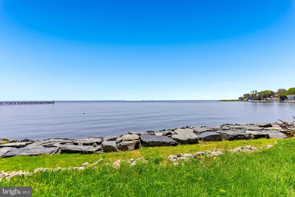 a view of backyard with a tree
