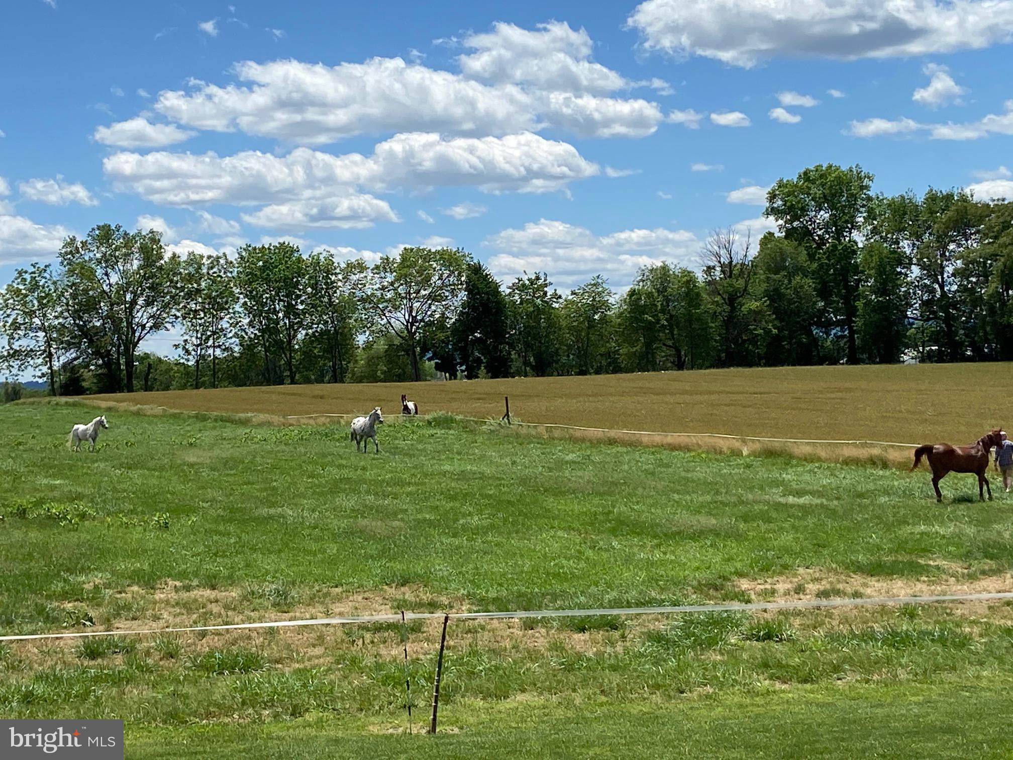 34 Bossler Road Elizabethtown, PA 17022 - Photo 72 of 95 Gallery Image 72