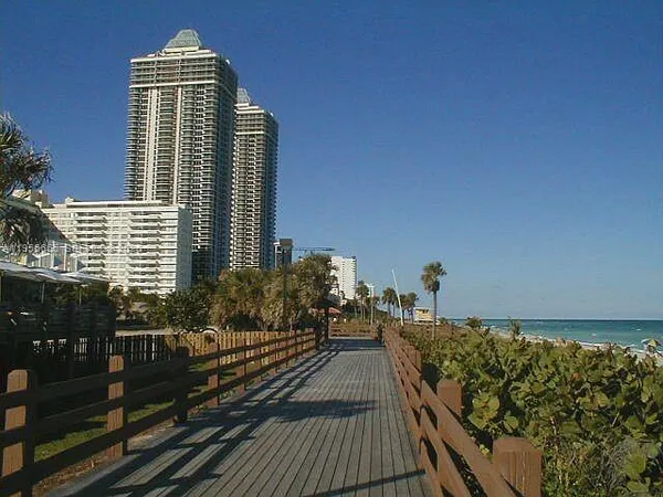 a view of a living room with a yard