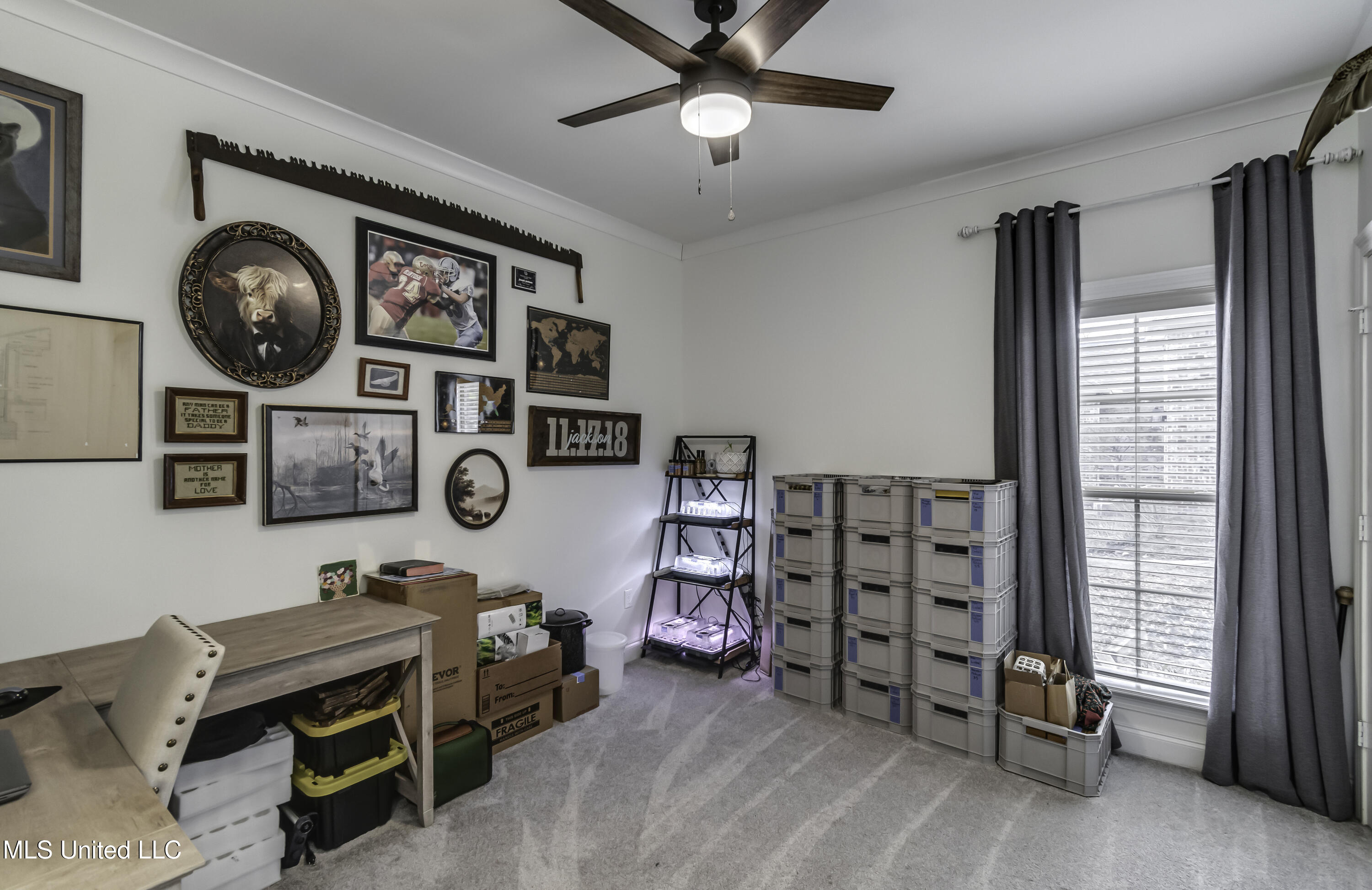 125 Muscadine Path Madison, MS 39110 - Photo 47 of 69 125 Muscadine Path--48