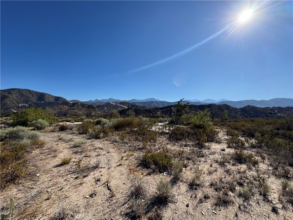 4292 Davis Ranch Road Phelan, CA 92371 - Photo 7 of 50 a view of a forest with mountains in the background