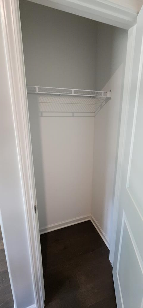 486 Abberly Lane Ellerslie, GA 31807 - Photo 19 of 67 a view of closet