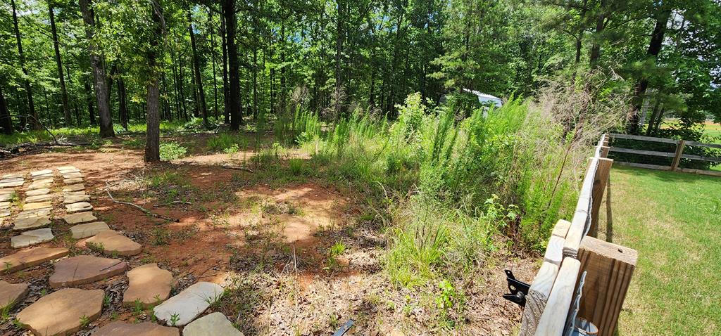 486 Abberly Lane Ellerslie, GA 31807 - Photo 63 of 67 a view of yard
