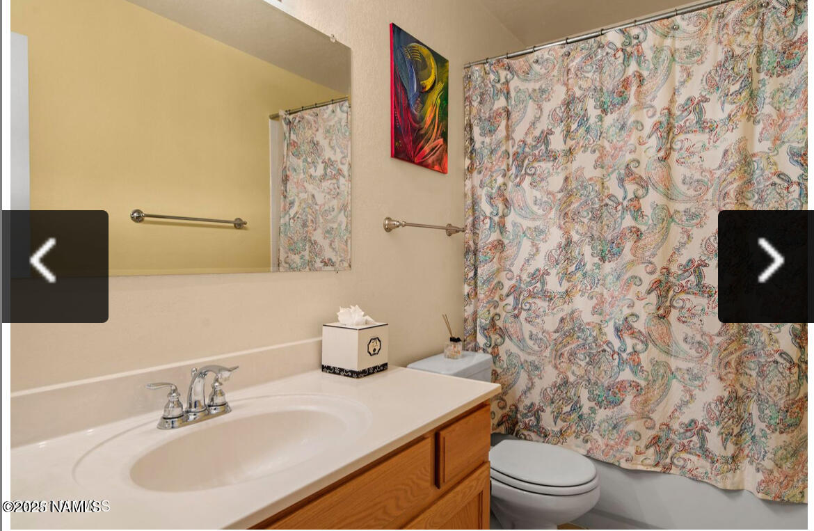 4011 East Village Circle Flagstaff, AZ 86004 - Photo 21 of 23 a bathroom with a sink a toilet and shower curtain