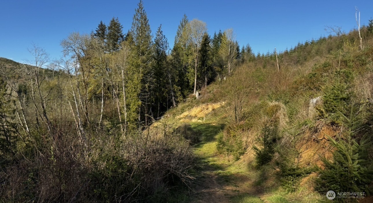 2916 Little Hanaford Road Centralia, WA 98531 - Photo 11 of 14