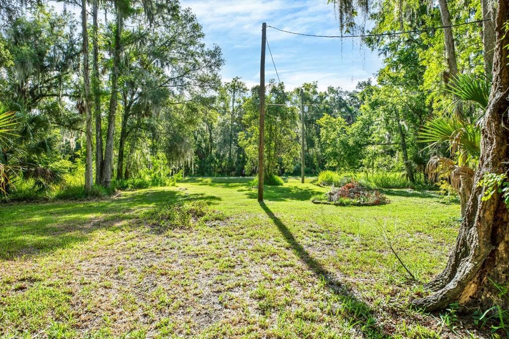 3913 Alafia Boulevard Brandon, FL 33511 - Photo 13 of 22