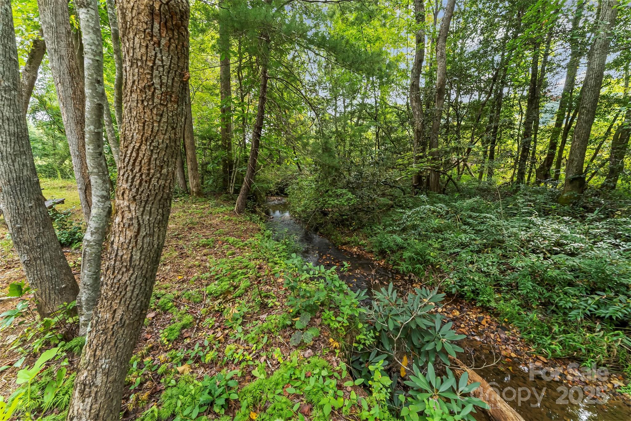 4937 Snowhill Church Road Morganton, NC 28655 - Photo 8 of 28 Gallery Image 8
