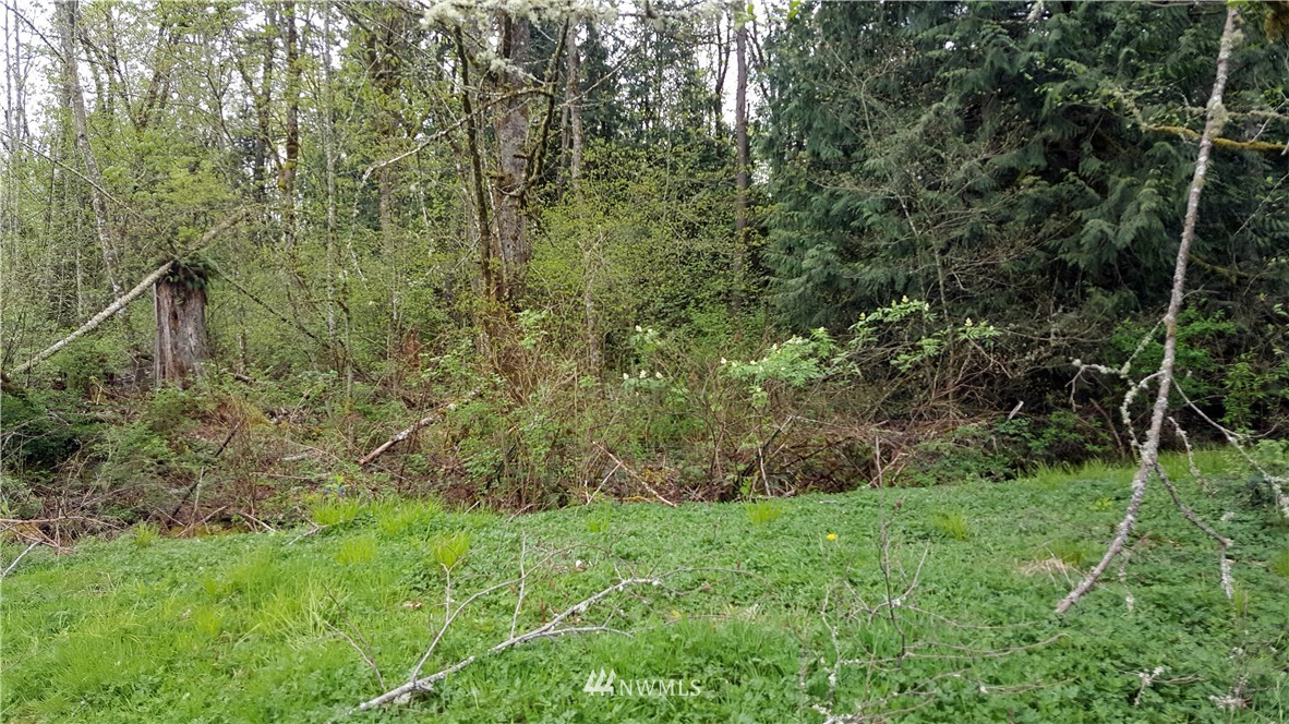 0 Y Road Bellingham, WA 98226 - Photo 3 of 25 Gallery Image 3