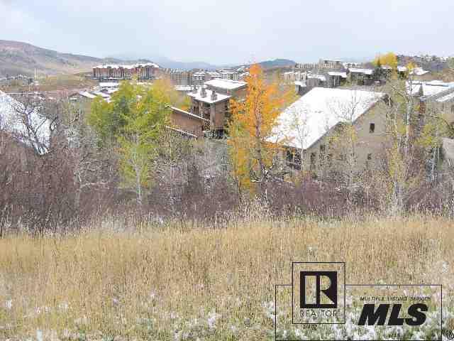 2655 Longthong Road Steamboat Springs, CO 80487 - Photo 1 of 1 Gallery Image 1