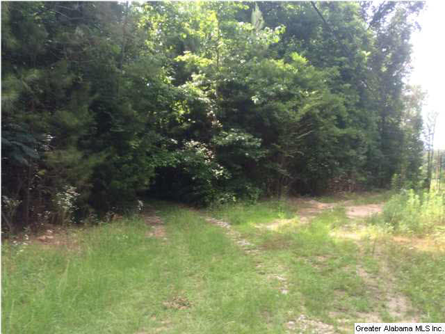 Frog Level Road, Unit 14 West Blocton, AL 35184 - Photo 10 of 10