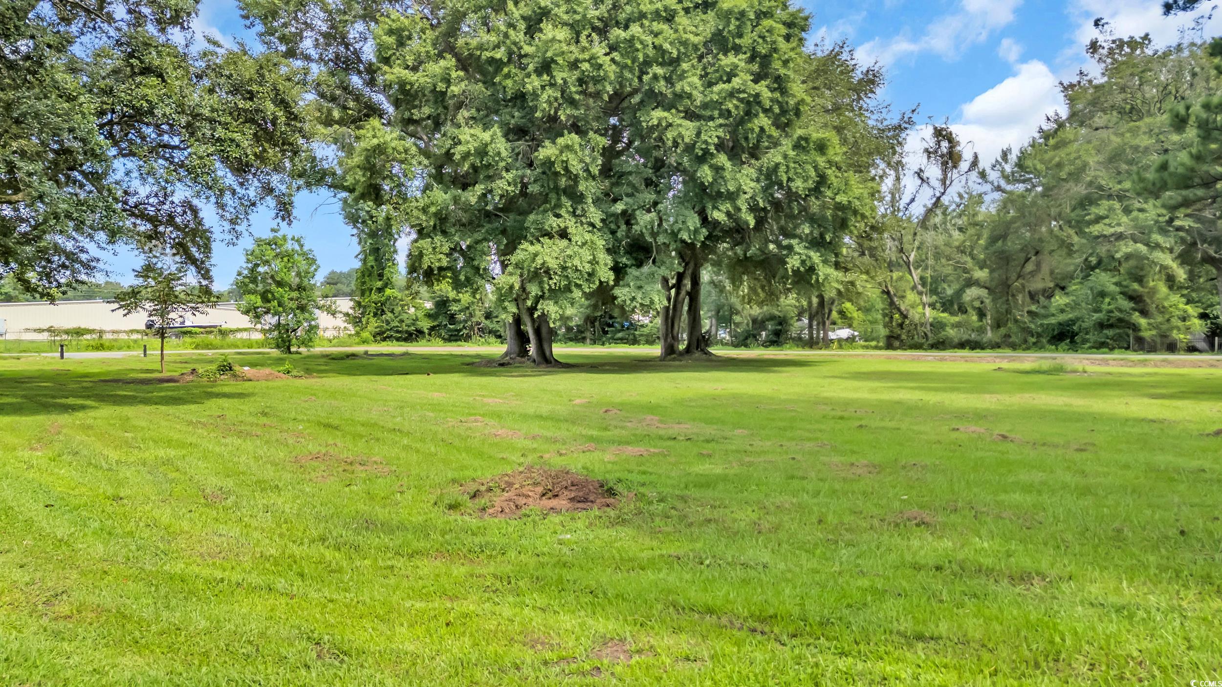 173 County Rd S-22-333 Georgetown, SC 29440 - Photo 12 of 14 Gallery Image 12