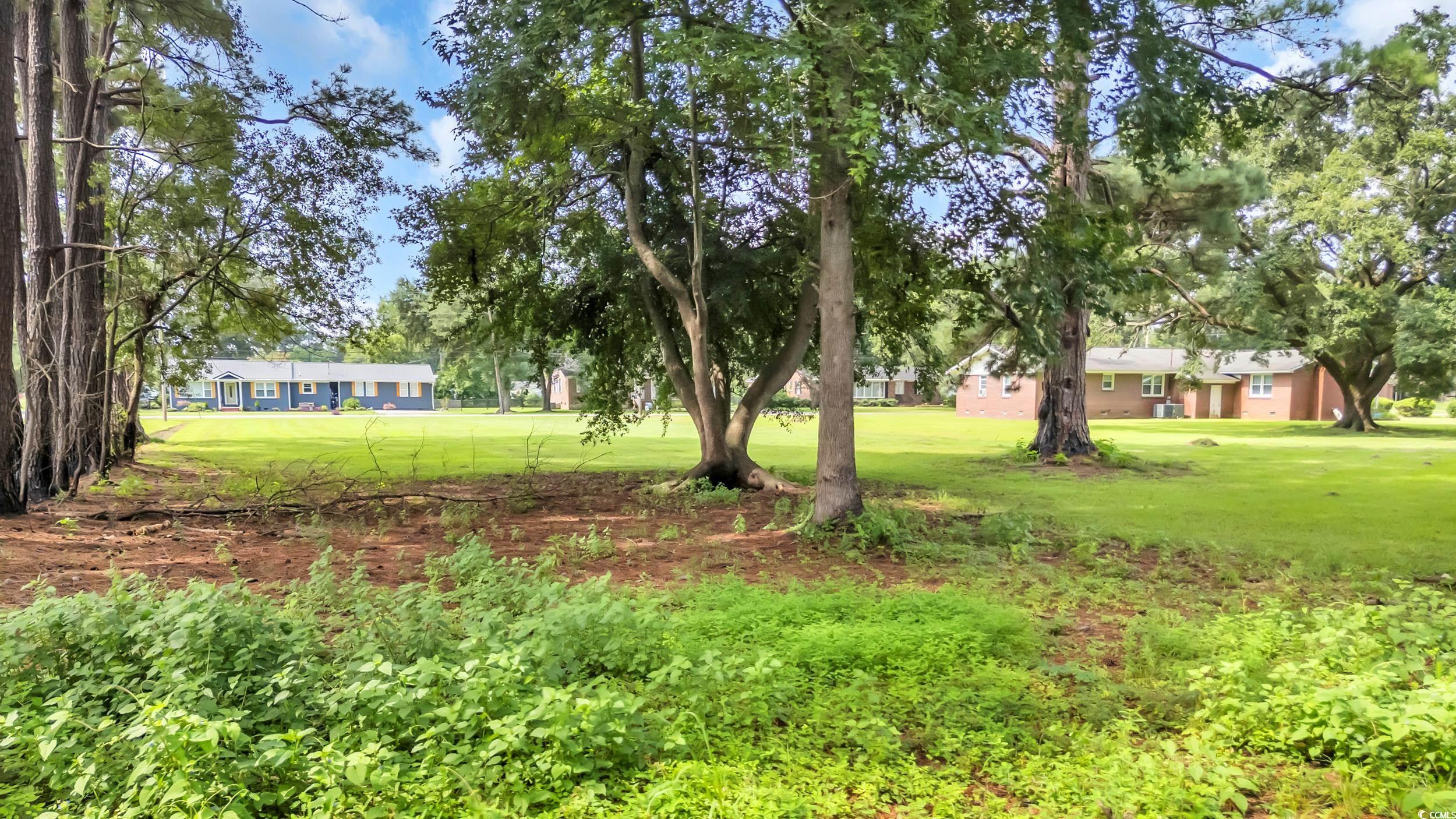 173 County Rd S-22-333 Georgetown, SC 29440 - Photo 8 of 14 Gallery Image 8