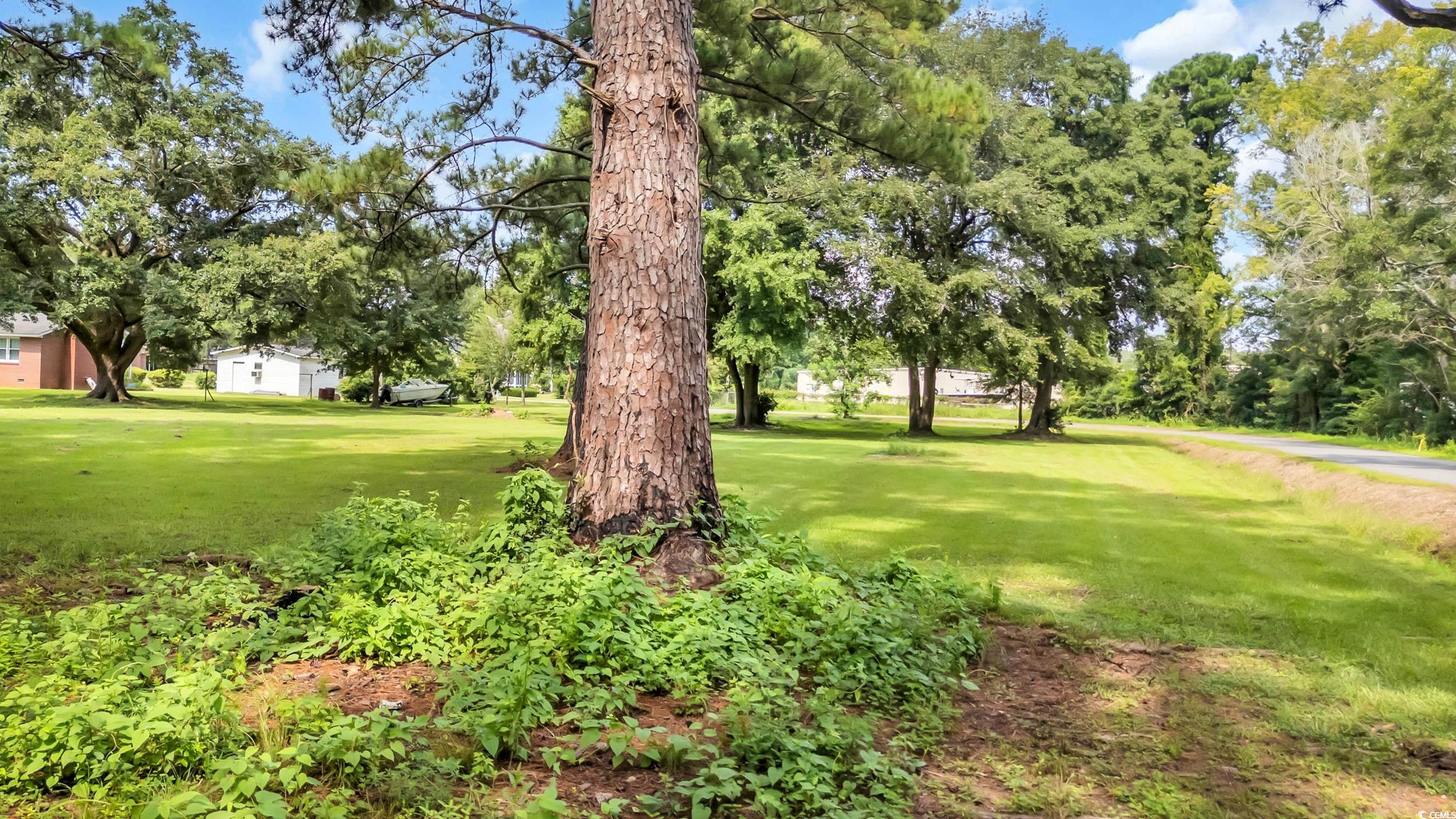 173 County Rd S-22-333 Georgetown, SC 29440 - Photo 9 of 14 Gallery Image 9