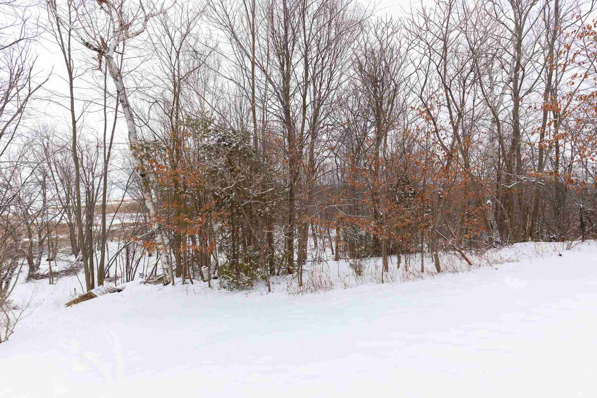 141 Ridge Top Way Colchester, VT 05446 - Photo 39 of 39 Gallery Image 39