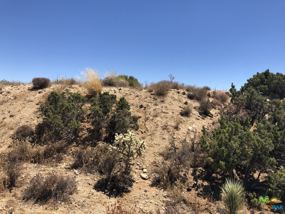 596 Griffith Road Yucca Valley, CA 92284 - Photo 40 of 53 Additional Photo