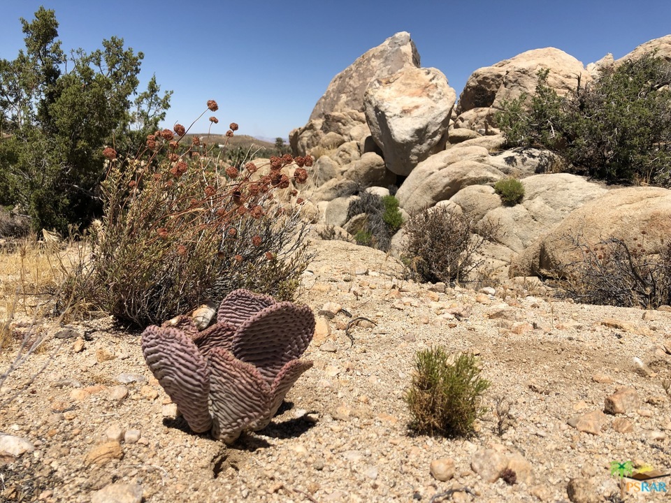 596 Griffith Road Yucca Valley, CA 92284 - Photo 50 of 53 Additional Photo