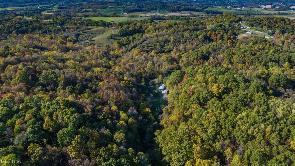 3278 Rough And Ready Road New Concord, OH 43762 - Photo 10 of 28 Aerial view of property and surrounding area featuring a heavily wooded area