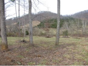 11696 Stanley Valley Road Gate City, VA 24251 - Photo 7 of 10 Photo 7