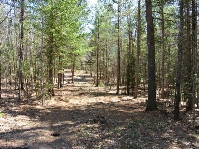 667 Rupple Road Three Lakes, WI 54562 - Photo 10 of 18 Gallery Image 10