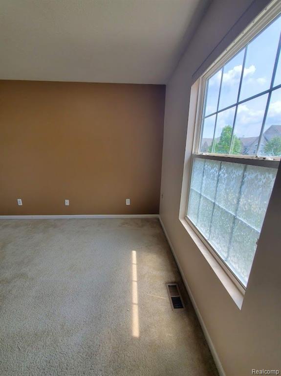 23448 Ridgeview Street Taylor, MI 48180 - Photo 38 of 53