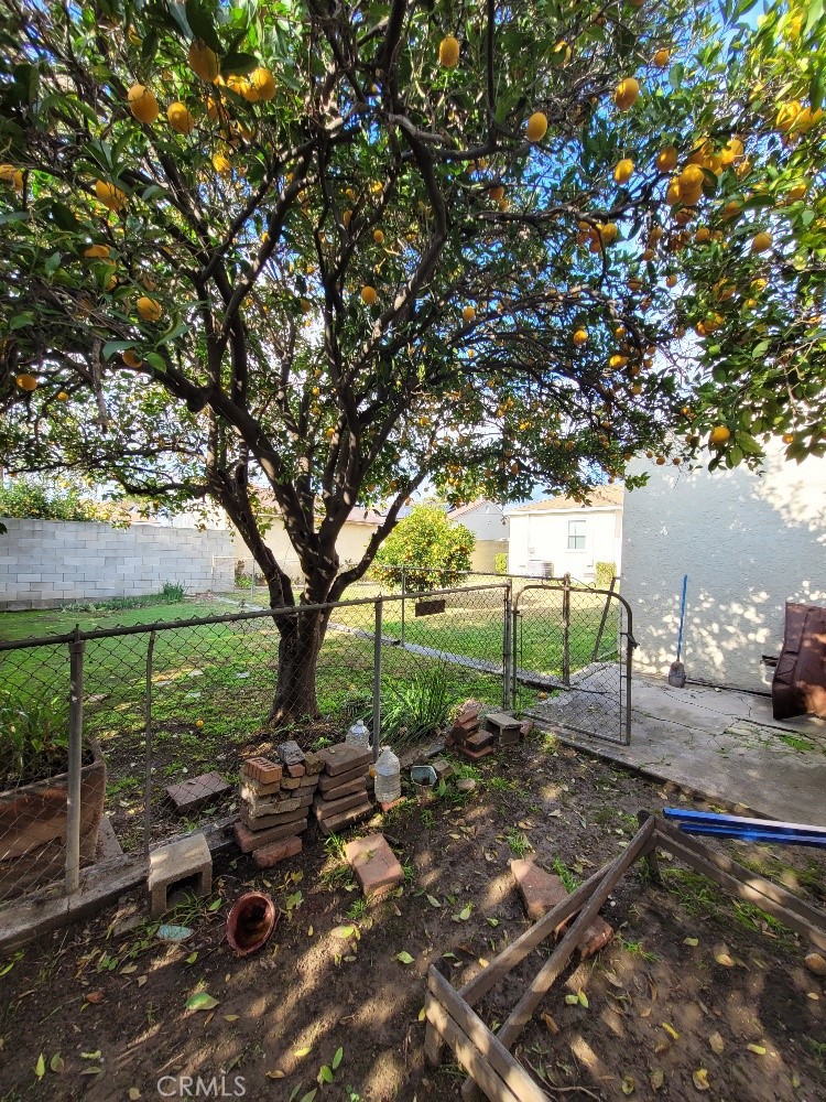 14030 Dittmar Drive Whittier, CA 90605 - Photo 26 of 32 a view of a park with large trees