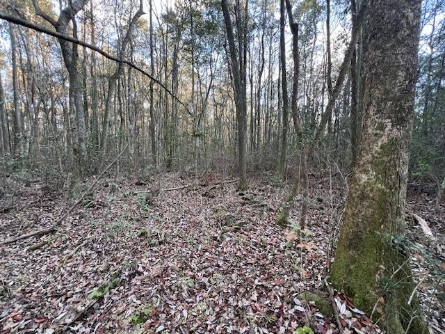 25-ac Smyrna Road Florala, AL 36442 - Photo 33 of 36 Gallery Image 33