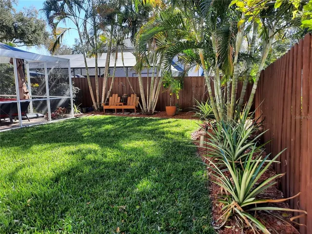 a view of a backyard with potted plants and large tree