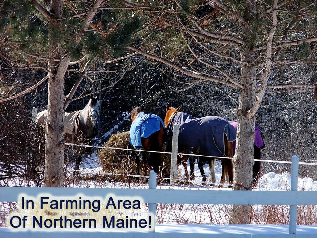 25 G Station Road Littleton, ME 04730 - Photo 15 of 17 Photo