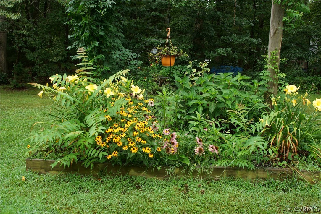 3256 Sherwood Ridge Way Powhatan, VA 23139 - Photo 17 of 20 Gallery Image 17