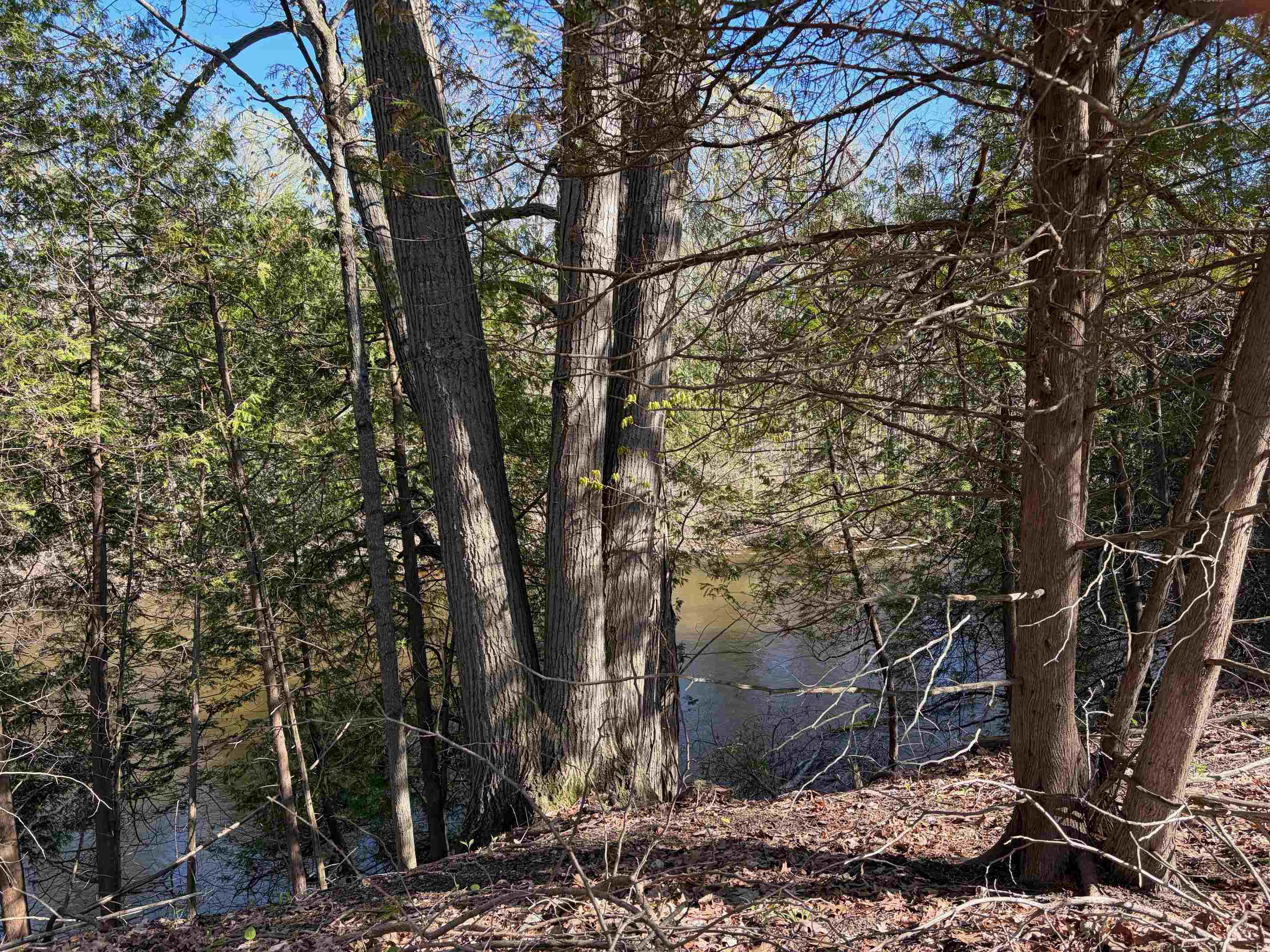 Tbd South Loomis Road Mount Pleasant, MI 48858 - Photo 2 of 5