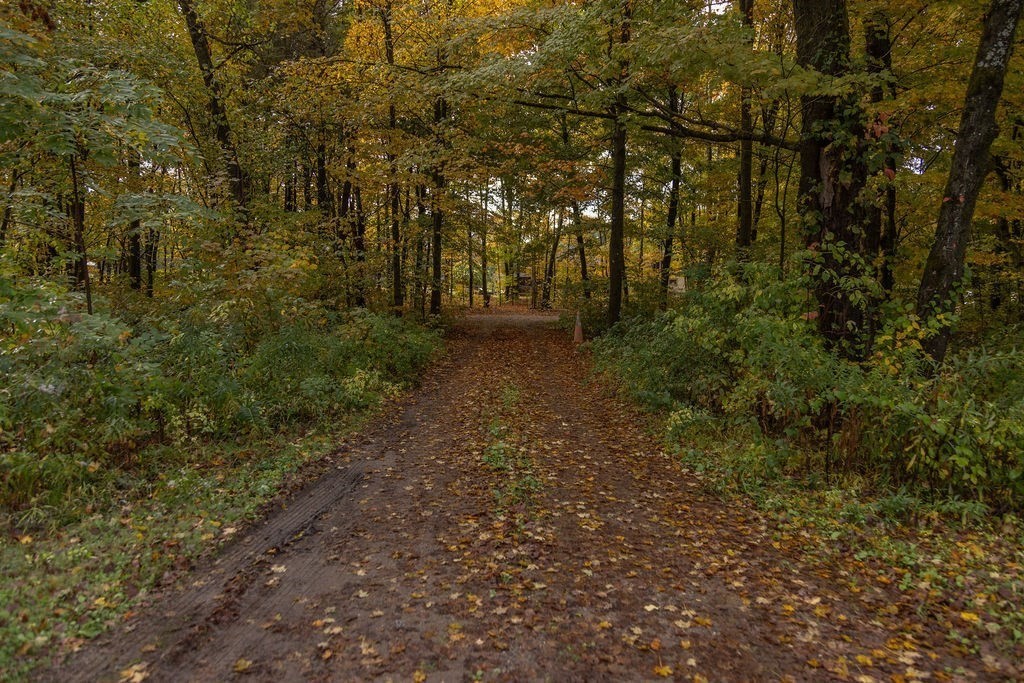 119 Long Plain Road Leverett, MA 01054 - Photo 11 of 38 a view of a forest with trees in the background