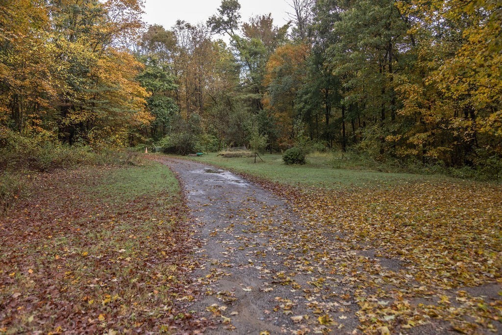 119 Long Plain Road Leverett, MA 01054 - Photo 7 of 38 a view of a yard with a tree