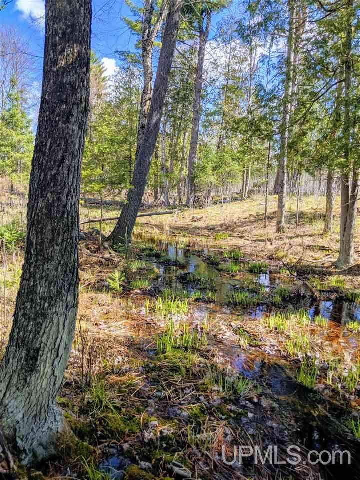 20-acres Ottawa Lake Road Iron River, MI 49935 - Photo 7 of 11