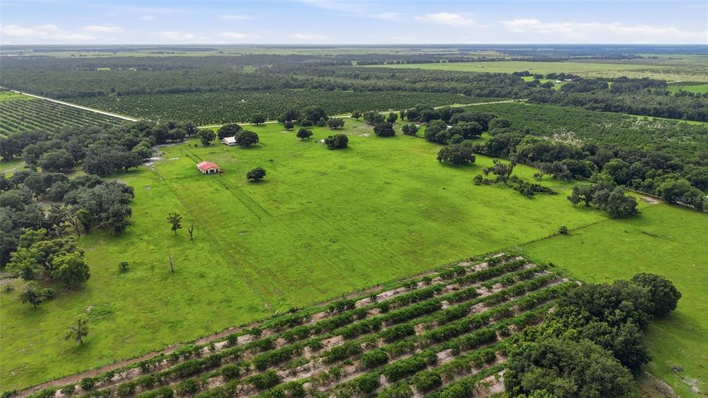 6902 Johnston Road Zolfo Springs, FL 33890 - Photo 58 of 59 Gallery Image 58