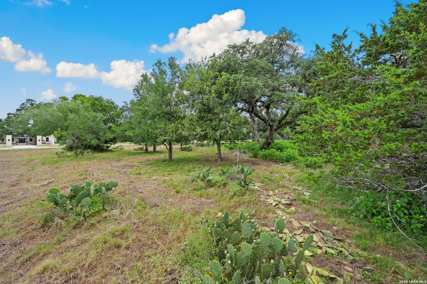 128 Rio Grande Drive Blanco, TX 78606 - Photo 15 of 16