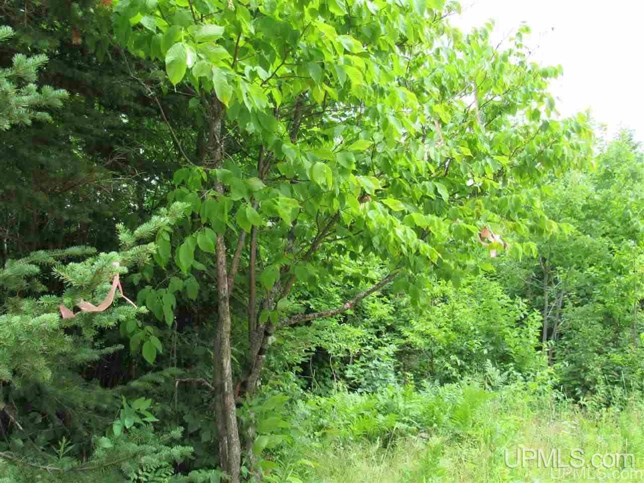 120 A Donken-tapiola Road Hancock, MI 49931 - Photo 10 of 14