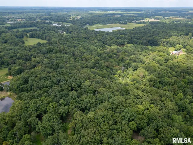 an aerial view of residential houses with outdoor space and trees