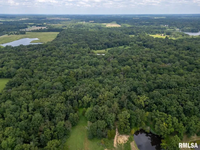 a view of a lake with a city