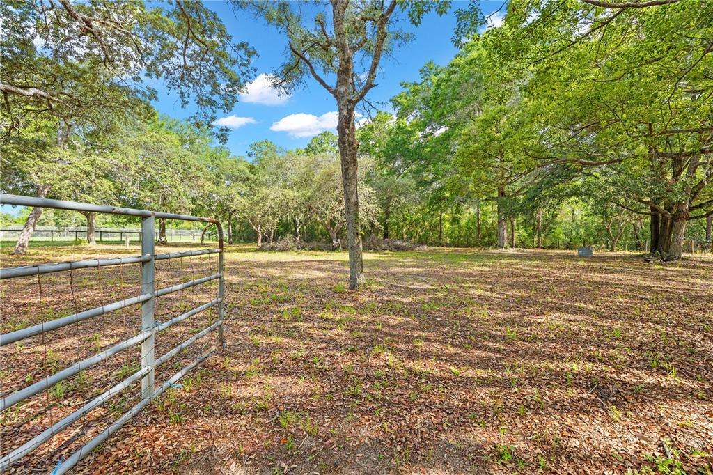 8378 Grove Road Brooksville, FL 34613 - Photo 32 of 70