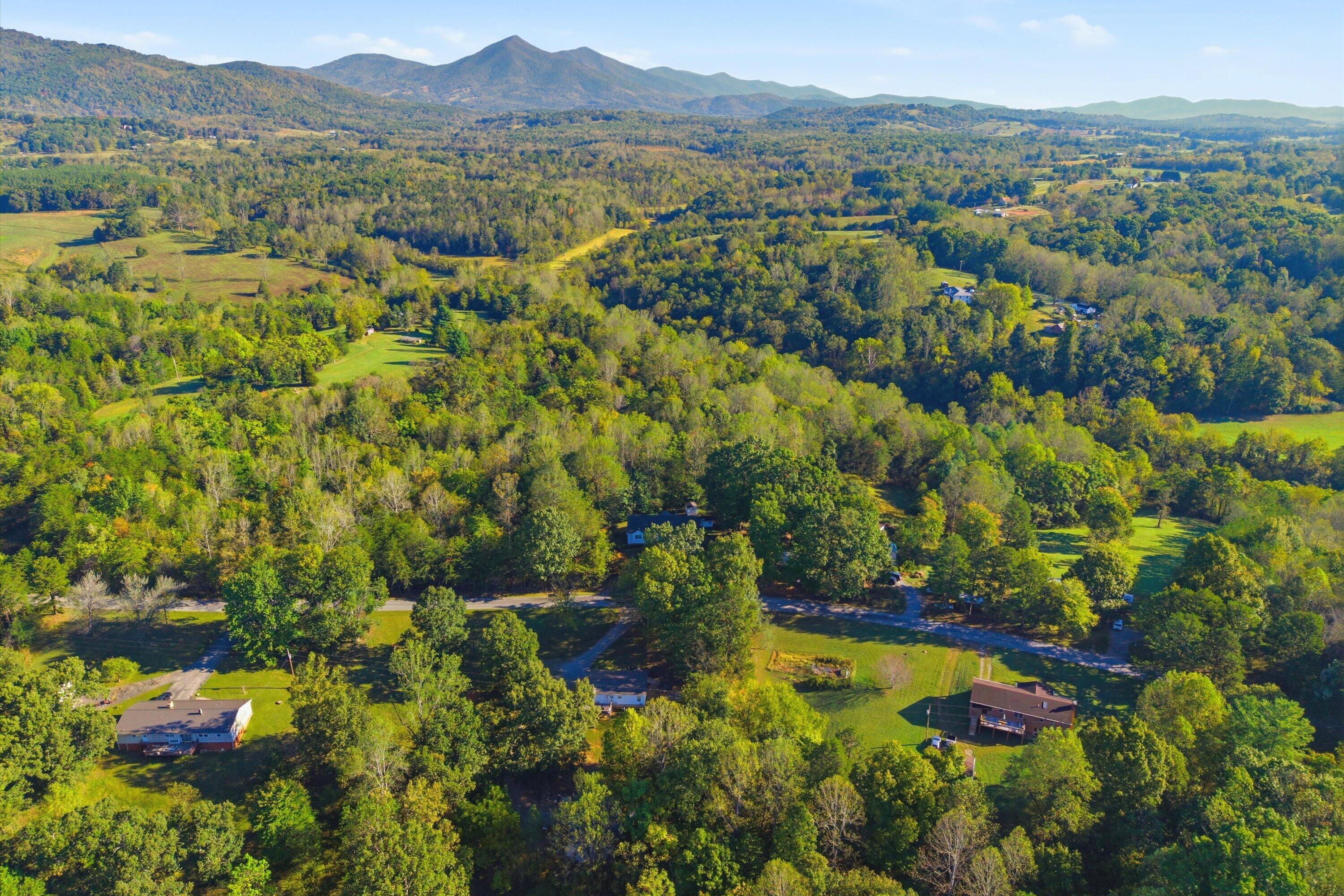 2636 Nester Road Thaxton, VA 24174 - Photo 73 of 75 73-028_DJI_20261007093633_0029_D-92