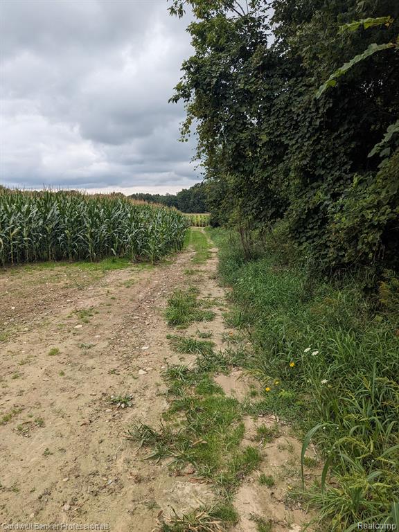 7168 Willis Road Brown City, MI 48416 - Photo 2 of 24