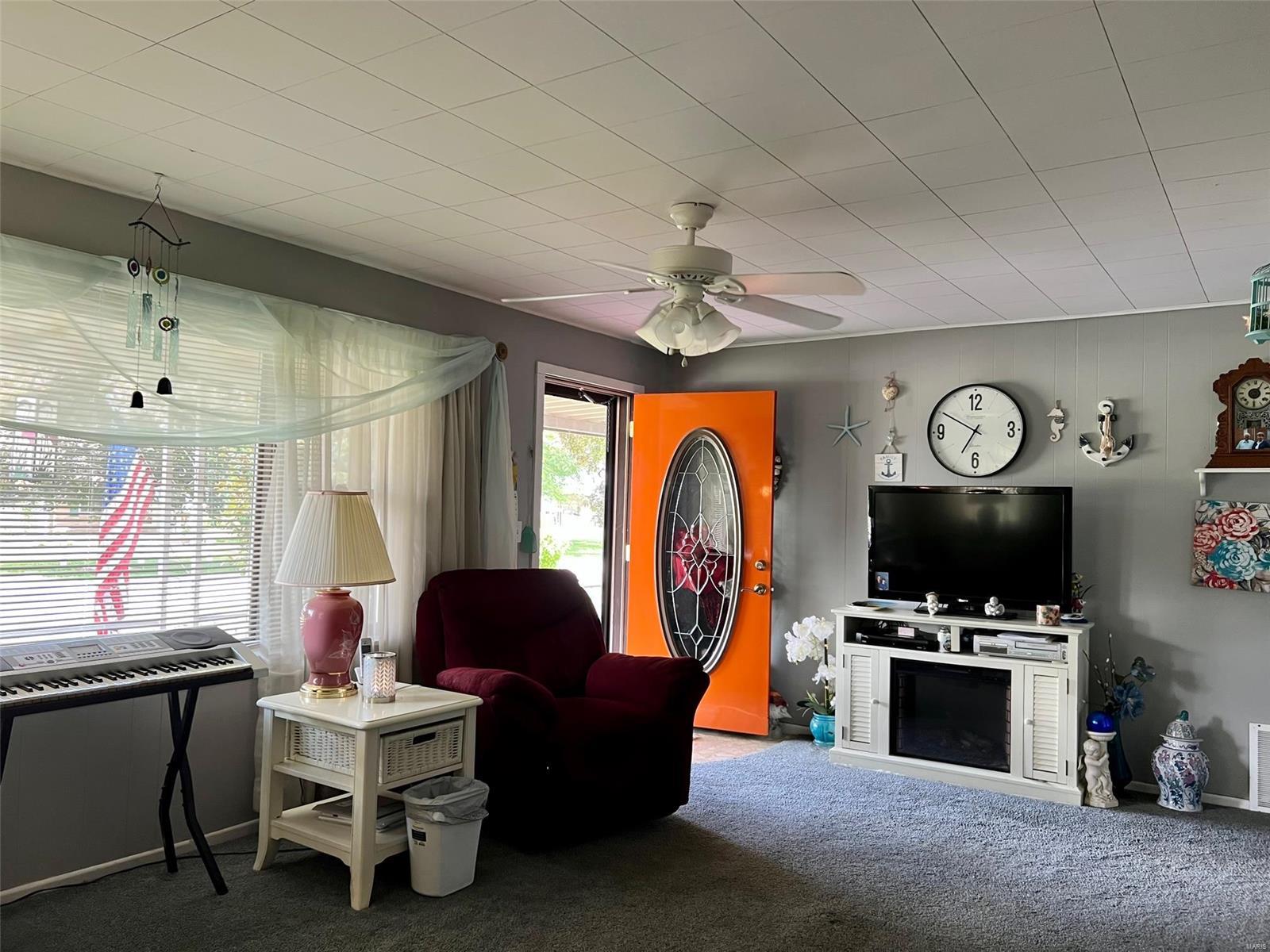 220 South Pine Street St. Elmo, IL 62458 - Photo 6 of 22