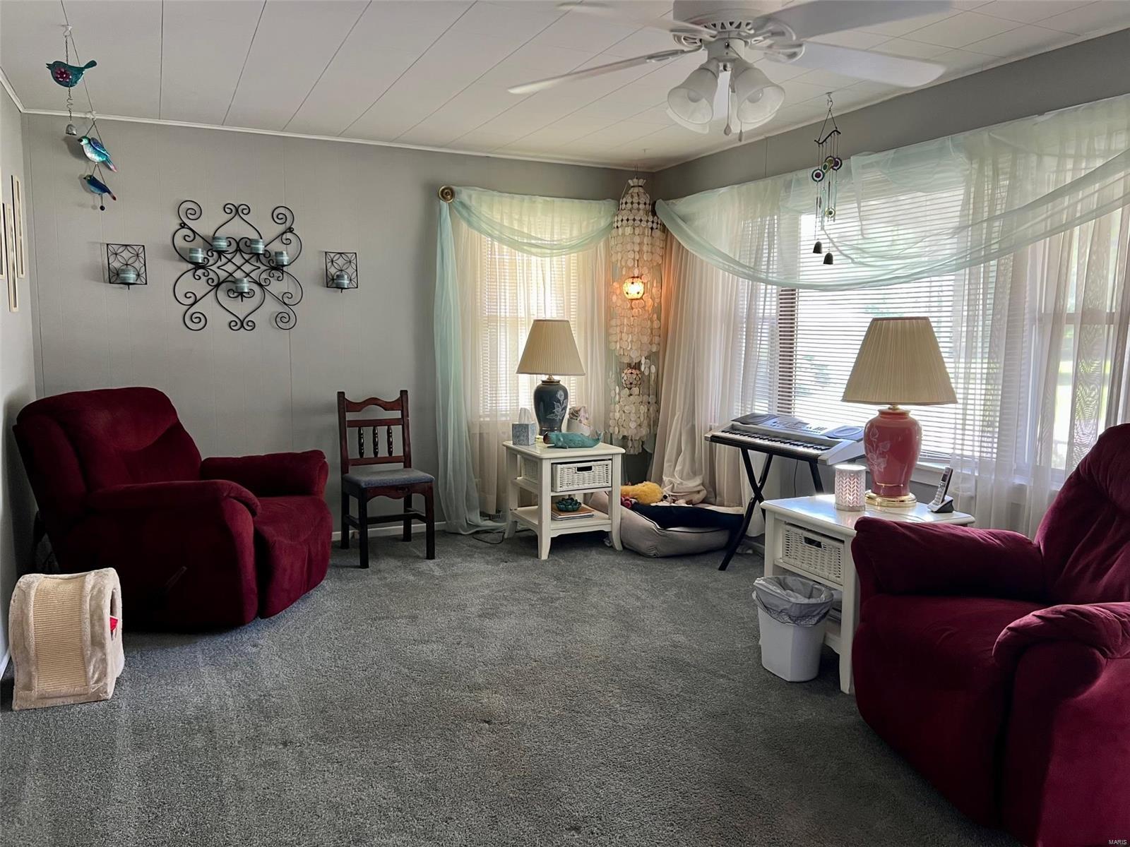 220 South Pine Street St. Elmo, IL 62458 - Photo 7 of 22