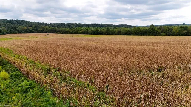 $249,900 | 19.313-acres Fisher Valley Road, Dobson, NC 27017