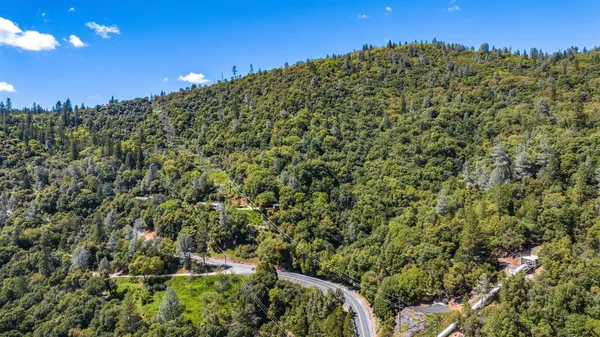 a view of a big yard with lots of bushes