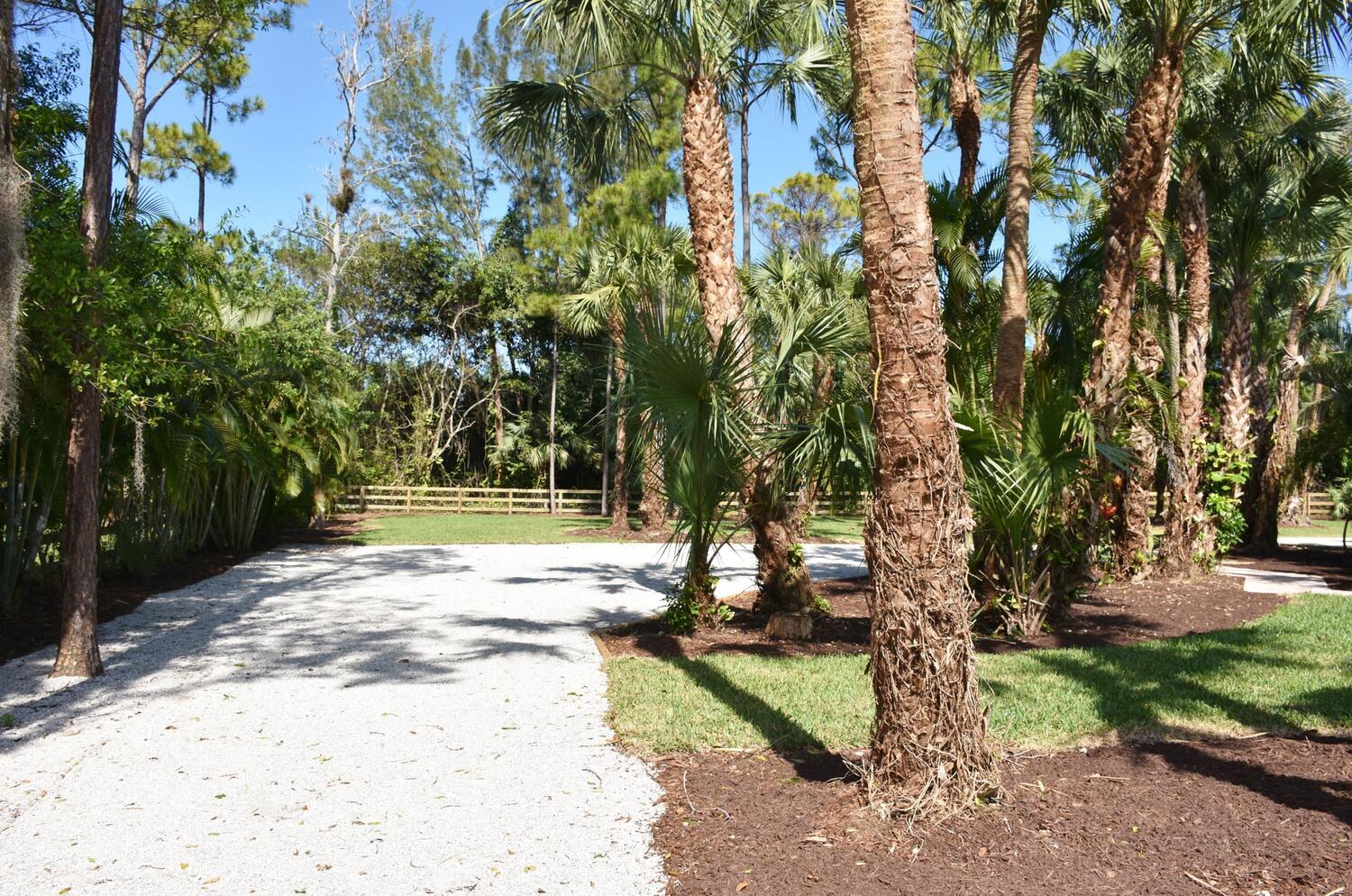 12677 Pineacre Lane Wellington, FL 33414 - Photo 17 of 38 a view of a yard with plants and trees