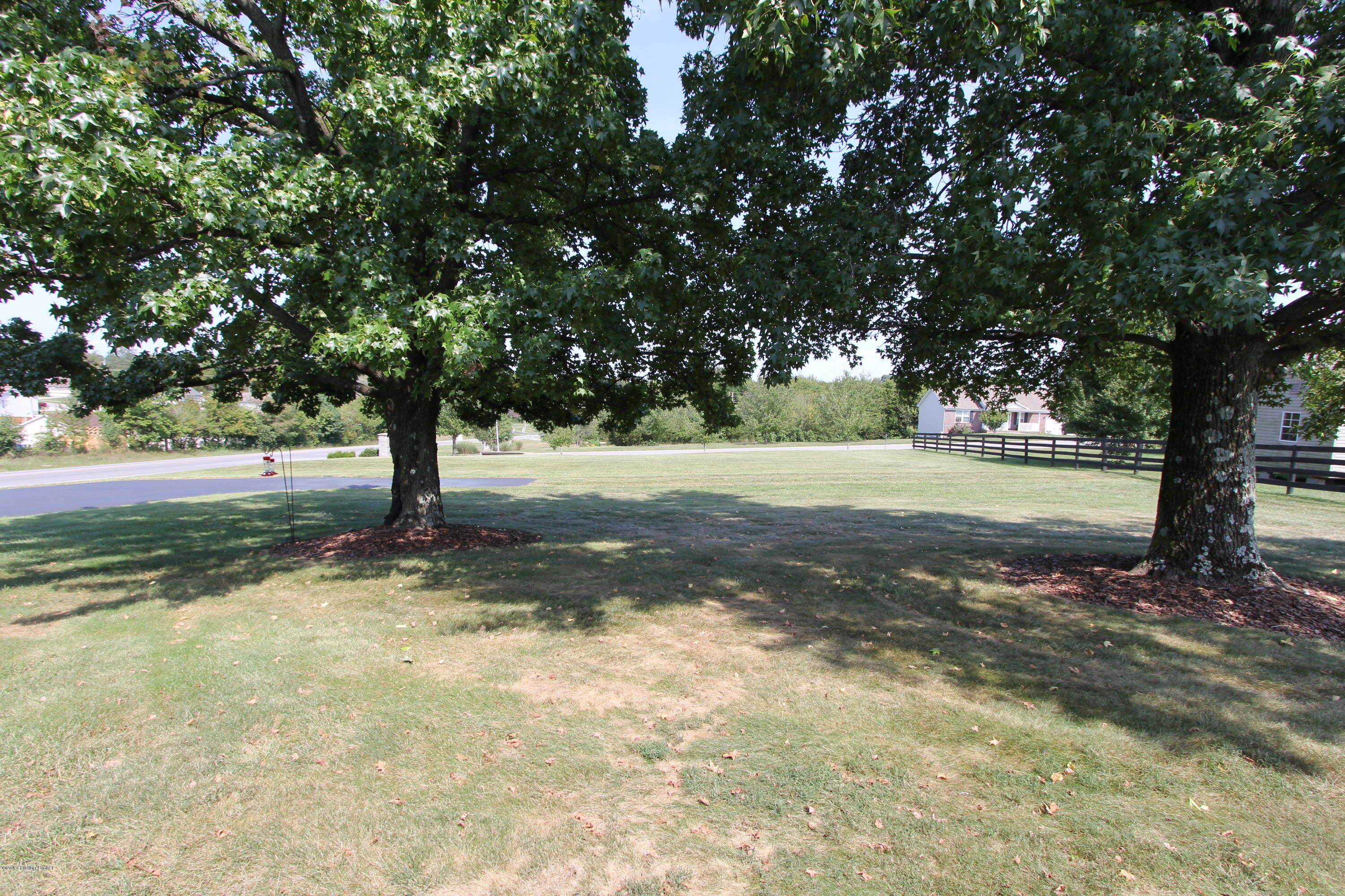 1160 Versailles Road Lawrenceburg, KY 40342 - Photo 9 of 42 Front Yard (2)